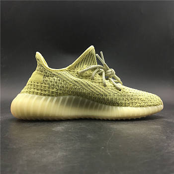  Adidas Yeezy Boost 350 V2 Antlia (Reflective) FV3255