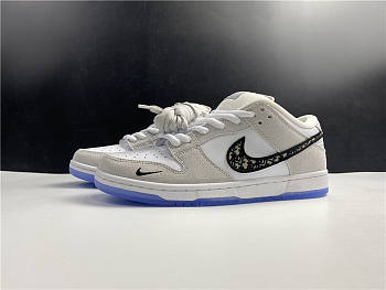 Nike Dunk Low Dior