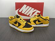 Nike Dunk Low Goldenrod (2021) DD1391-004 - 2