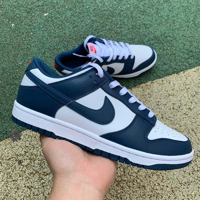 valerian blue nike