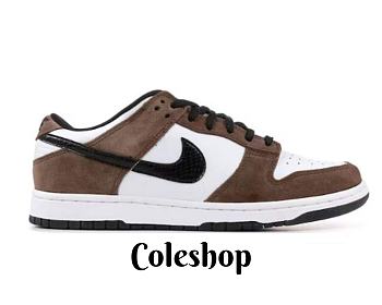 Nike SB Dunk Low Trail End 304292-102
