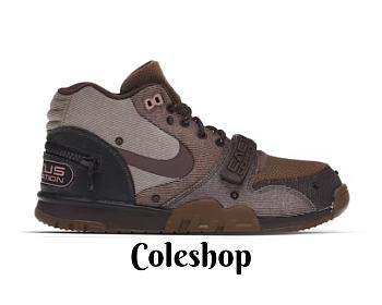 Nike Air Trainer 1 SP Travis Scott Wheat DR7515-200
