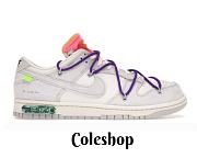 Nike Dunk Low Off-White Lot 15 DJ0950-101 - 1