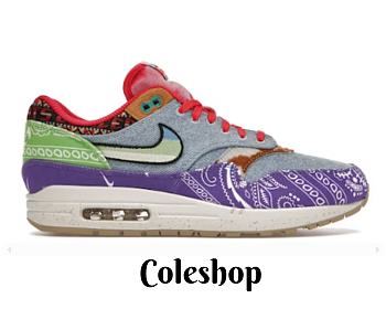 Nike Air Max 1 SP Concepts Far Out - DN1803-500