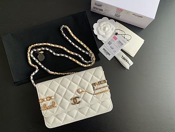 CHANEL 2022 Early Spring Limited Badge Bag Lambskin