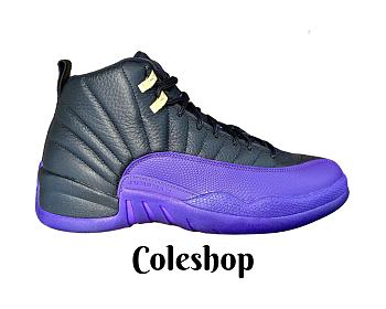 Air Jordan 12 Retro Field Purple CT8013-057