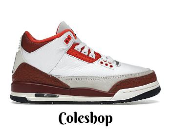 Air Jordan 3 Retro SE Dunk on Mars (GS) DV7028-108