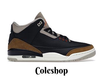 Air Jordan 3 Retro Desert Elephant CT8532-008