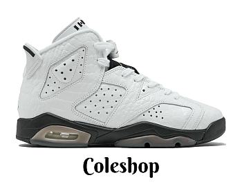Air Jordan 6 Retro Alligator (GS) 384665-110