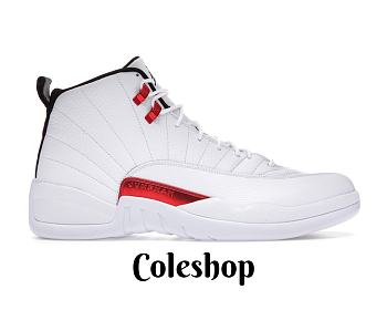 Air Jordan 12 Retro 'Twist' CT8013-106
