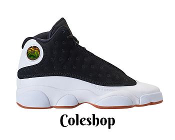 Air Jordan 13 Retro 'City of Flight' 439358-021