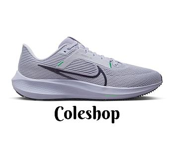 Nike Air Zoom Pegasus 40 DV3853-500