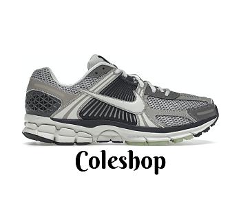 Nike Zoom Vomero 5 Cobblestone Flat Pewter FB8825-001