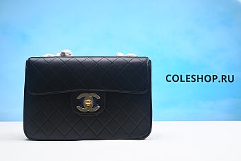 Chanel Classic Double Flap Bag Medium Black