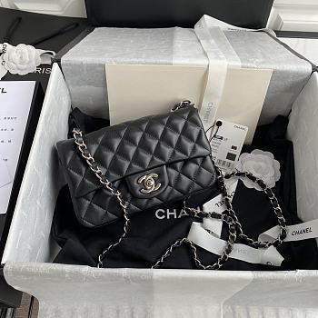 Chanel Shoulder Bag New Mini 1116 Black (Silver Wire)