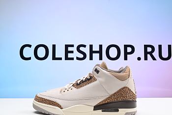 Air Jordan 3 Palomino CT8532-102