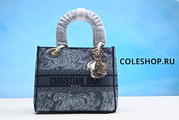 Christian Dior Bag No3