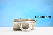 Christian Dior Bag No4 - 2