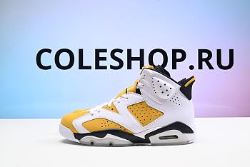Air Jordan 6 Retro Yellow Ochre CT8529-170
