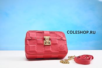 Louis Vuitton Bag No13