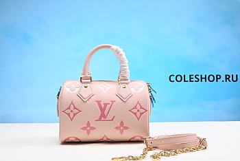 Louis Vuitton Bag No15