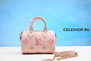 Louis Vuitton Bag No15 - 3