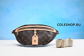 Louis Vuitton Bag No16
