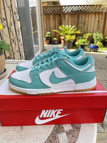 Nike Dunk Low Teal Zeal DV2190-100