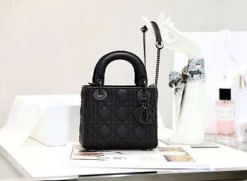 Lady Dior Bag-17CM REWRE-09854