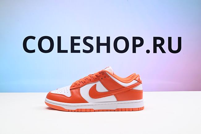 Nike Dunk Low SP Syracuse CU1726-101  - 1