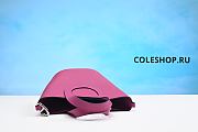 Hermes Bag Pink  - 5