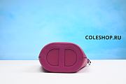 Hermes Bag Pink  - 4