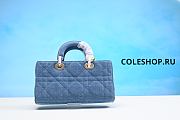 Christian Dior Bag Denim 26cm - 5
