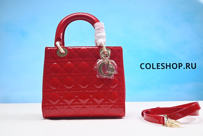 Christian Dior Bag Red 17cm - 1