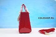 Christian Dior Bag Red 17cm - 3