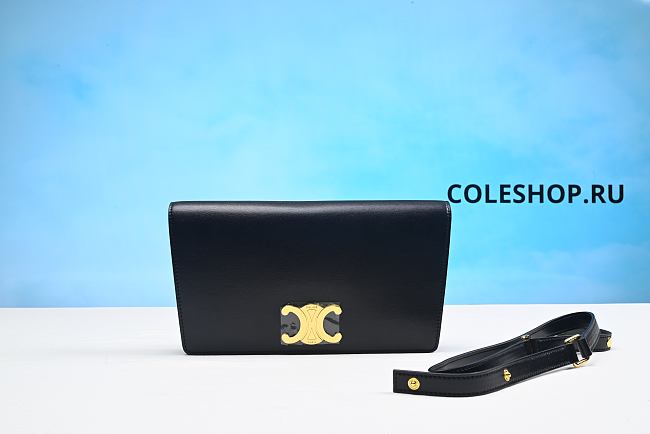 Celine Classique Triomphe Bag ln Shiny Calfskin Black - 1