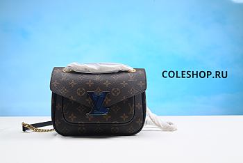 Louis Vuitton Bag No18