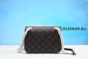 Louis Vuitton Bag No18 - 6