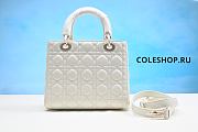 Christian Dior Bag White 17cm - 3