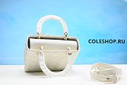 Christian Dior Bag White 17cm - 6