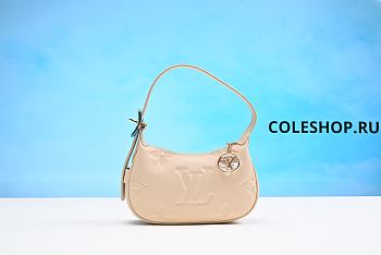 Louis Vuitton Bag No21