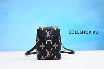 Louis Vuitton Bag No22