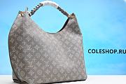 Louis Vuitton Bag No23 - 6