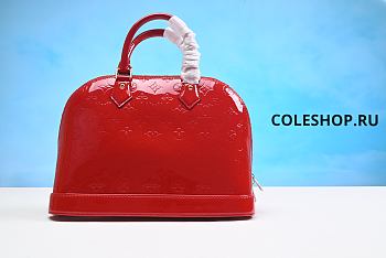 Louis Vuitton Bag No24