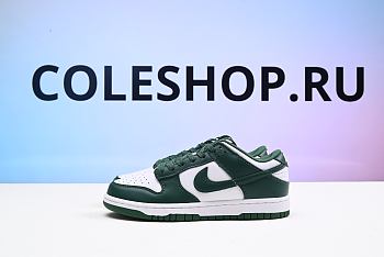 Nike Dunk Low Michigan State DD1391-101