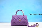 Chanel Bag Purple  - 1