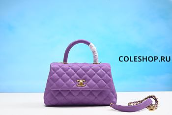 Chanel Bag Purple 