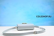 Celine Classique Triomphe Bag ln Shiny Calfskin Grey - 4