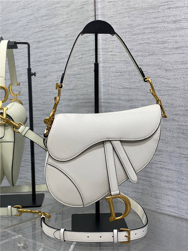 Dior Saddle Bag with Strap Latte Grained Calfskin 25.5cm - 1