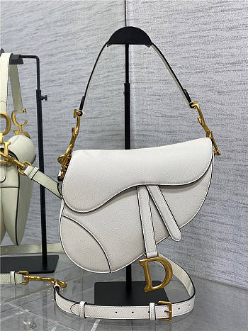 Dior Saddle Bag with Strap Latte Grained Calfskin 25.5cm